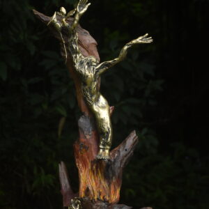 Spirit of the Forest