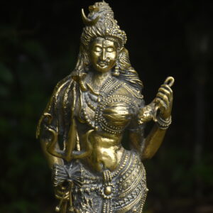 Ardhanarishwar