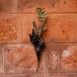 Fish Hanger