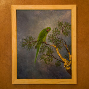 Parrot on a branch