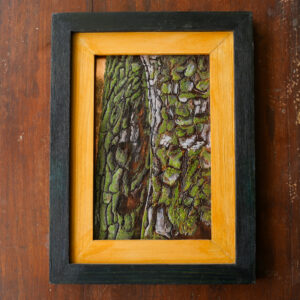 Ain Tree- Enamel Art Painting