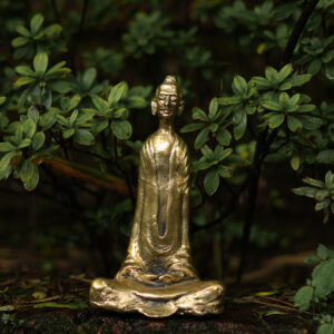 Meditating Buddha