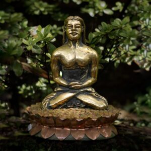 Mahavatar Babaji