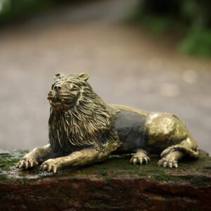 Resting Lion